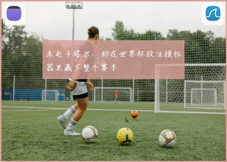 未赴卡塔尔，却在世界杯投注模拟器里赢下整个赛季