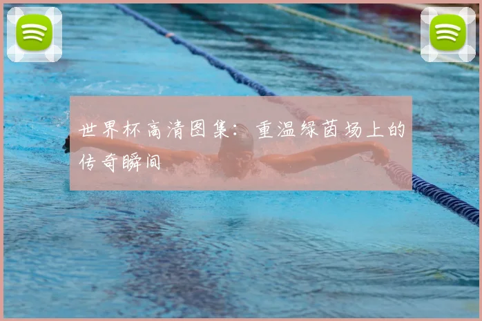 世界杯高清图集：重温绿茵场上的传奇瞬间