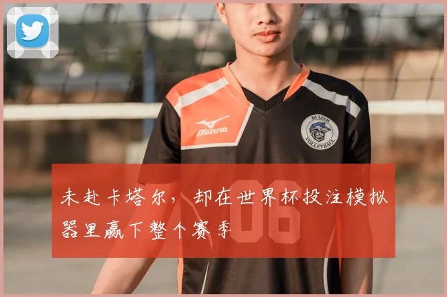 未赴卡塔尔，却在世界杯投注模拟器里赢下整个赛季