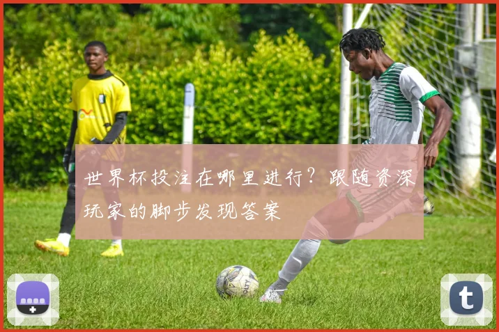 世界杯投注在哪里进行?跟随资深玩家的脚步发现答案