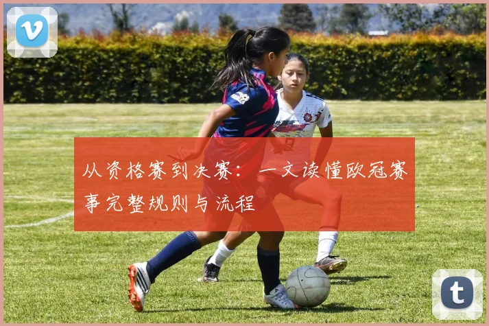从资格赛到决赛：一文读懂欧冠赛事完整规则与流程