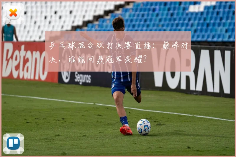 乒乓球混合双打决赛直播：巅峰对决，谁能问鼎冠军荣耀？