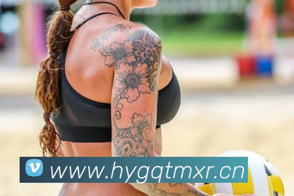 星空体育登录网页版发展历程